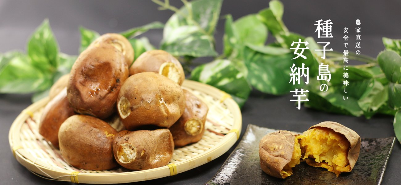 農家直送の安全で最高に美味しい種子島の安納芋